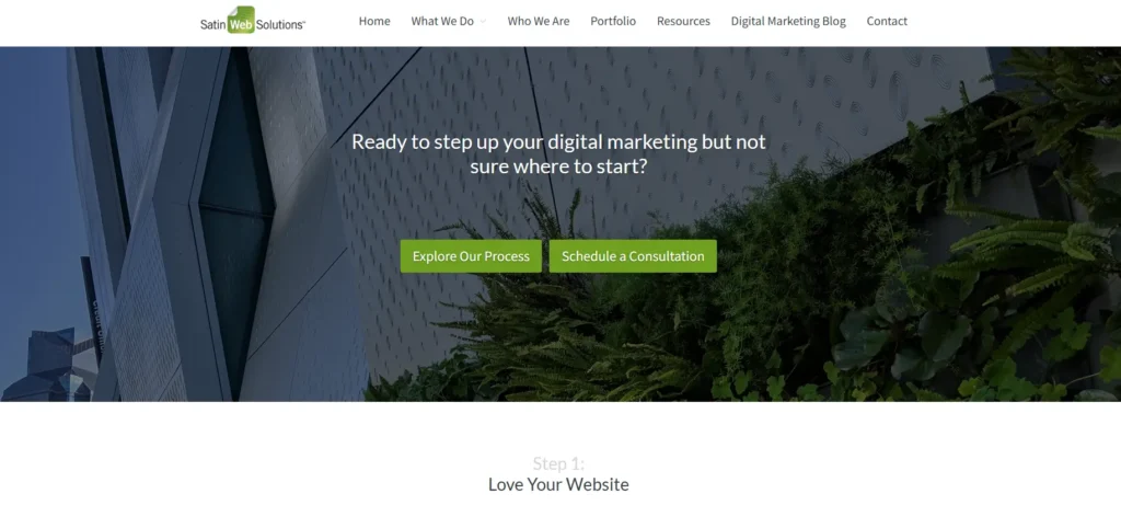 Satin Web Solutions