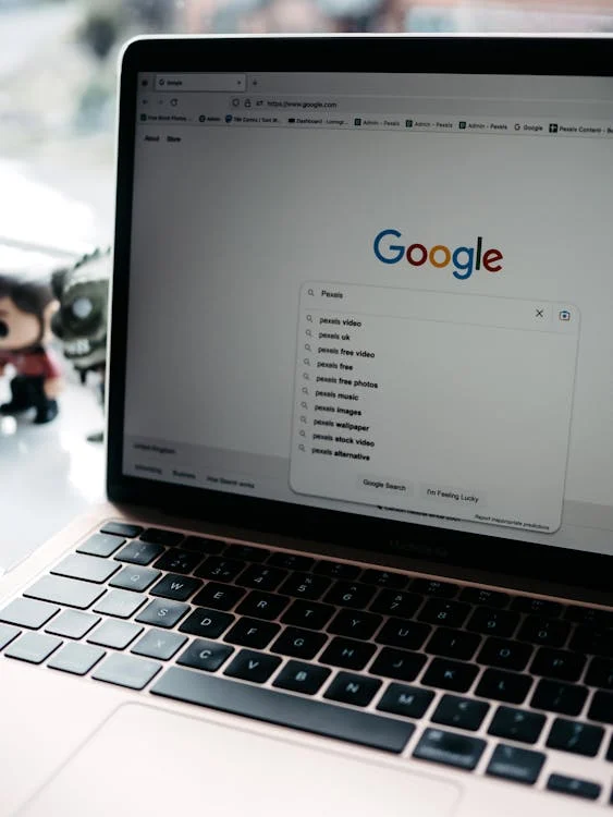 Search Bar