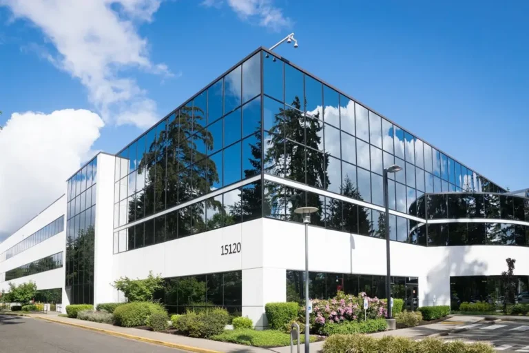 Best SEO Company in Roseville